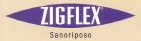 logo zigflex